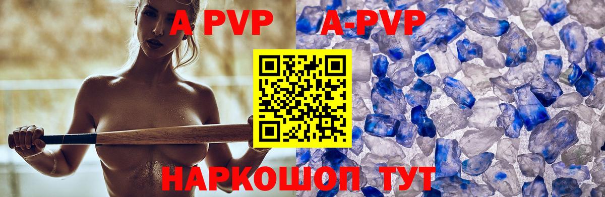 A PVP СК КРИС Тара