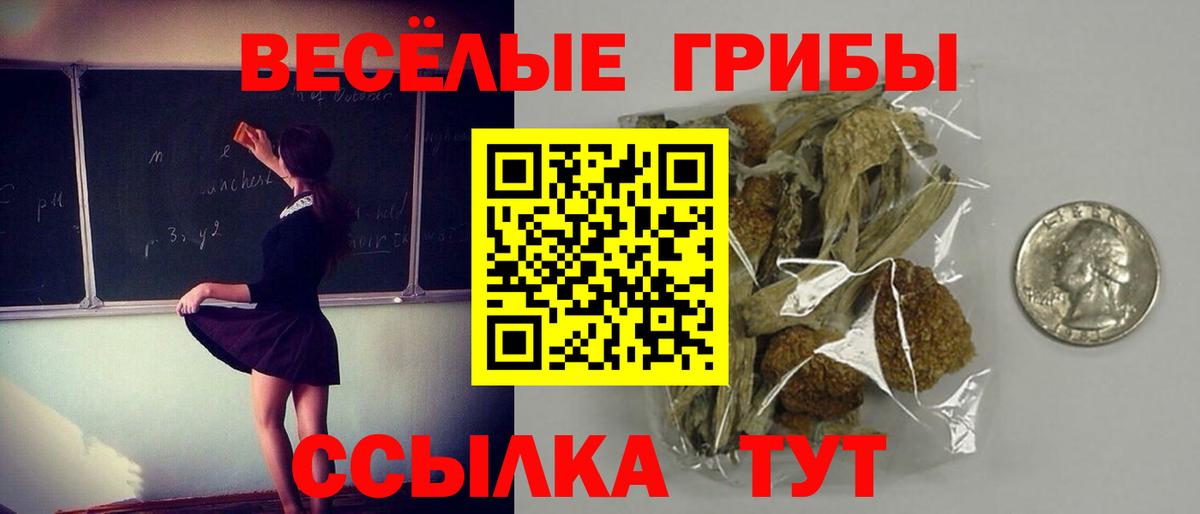 Псилоцибиновые грибы прущие грибы Тара